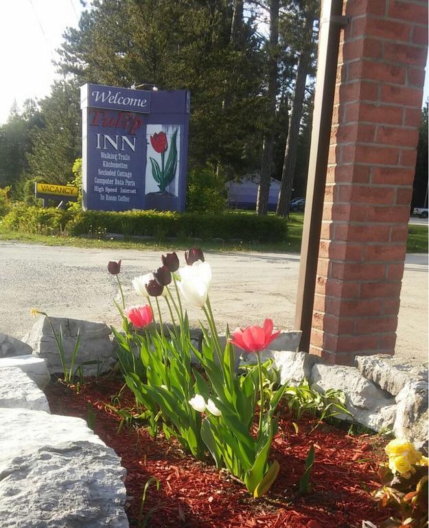 Tulip Inn Хантсвилл Экстерьер фото